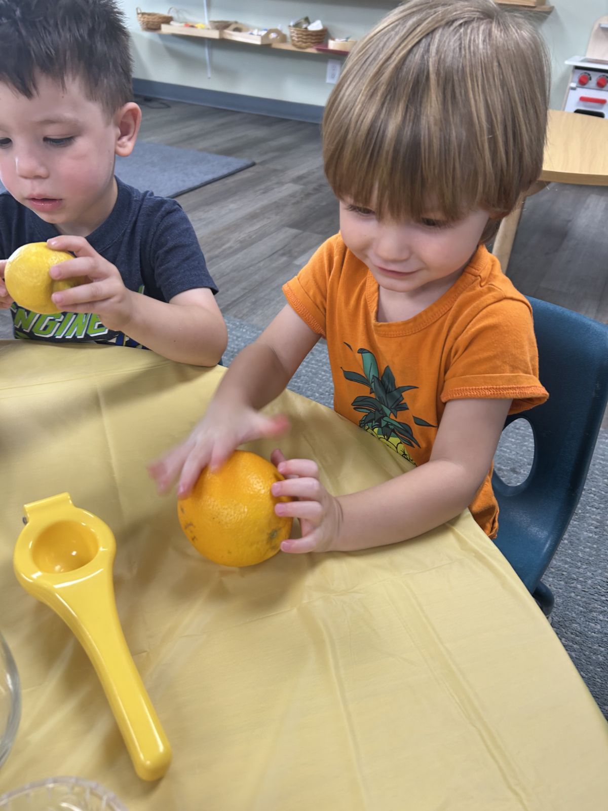 Two preschoolers squeezing fresh oranges at a classroom table